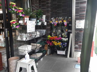 入口外　右側　造花が人気です。